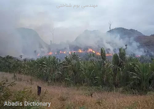 مهندسی بوم شناختی